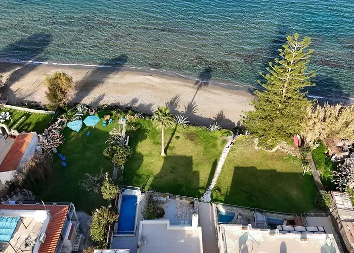 The Seaside 하니아